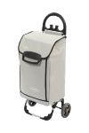 Сумка-тележка хозяйственная Aurora Roma (арт. A132) Сумка-тележка хозяйственная Aurora Roma (арт. A132)